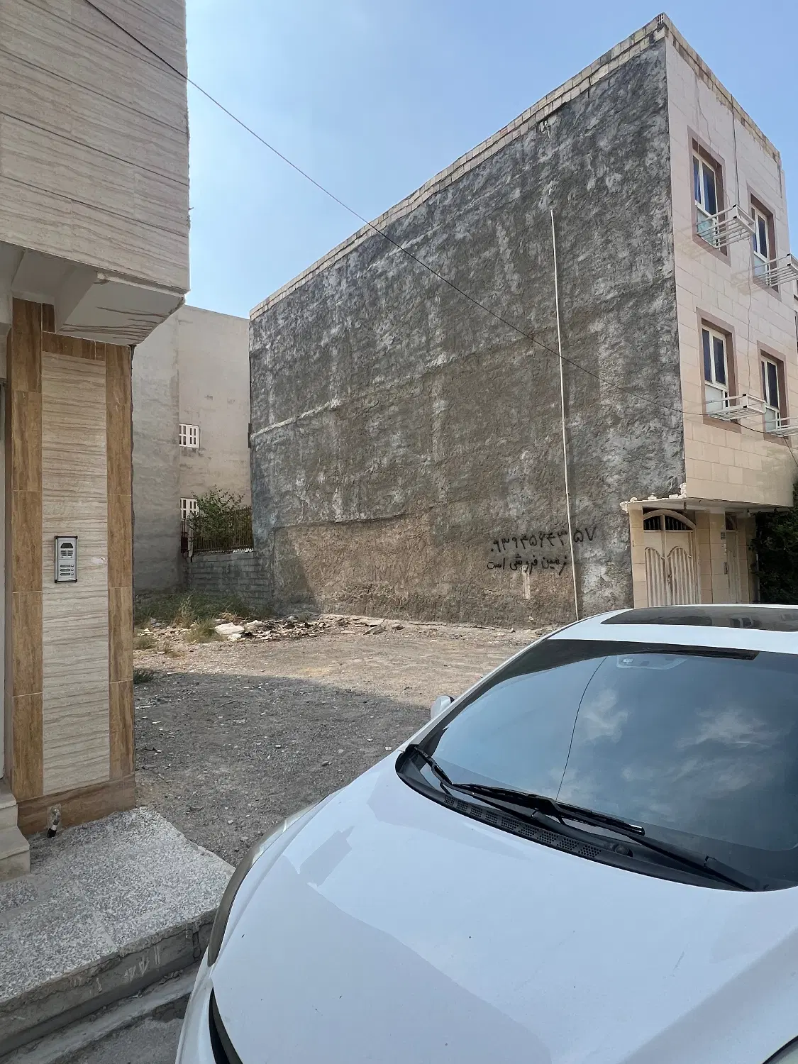 زمین سند تک برگ