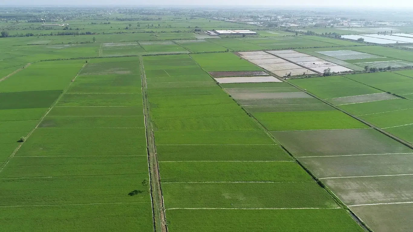 مزرعه تسطیح شده  ۱۸۰۰ متری
