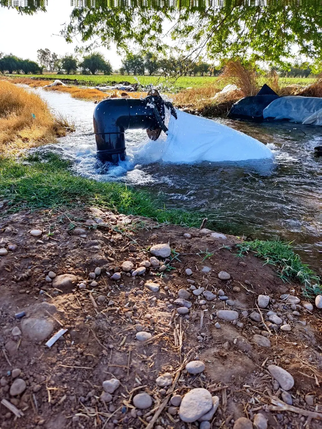 اجاره