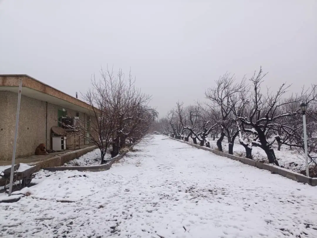 باغ ۲_۵هکتاری۲بر سندشیشدانگ شهریاربکه