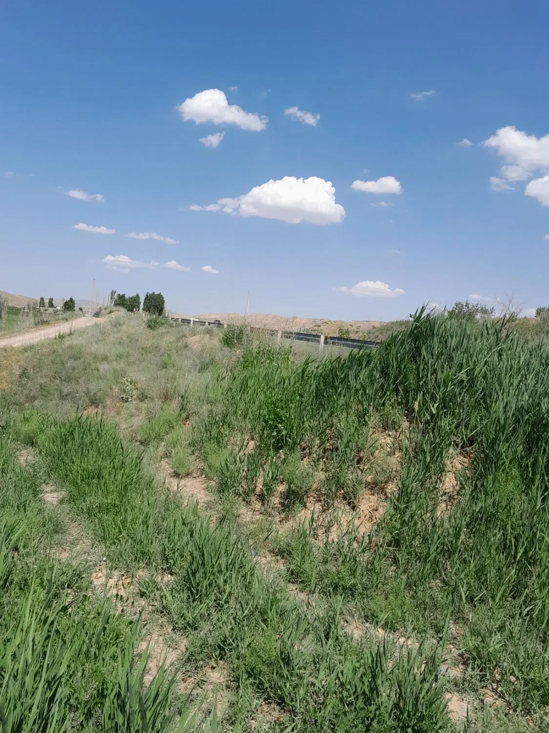 زمین باغ کنار اتوبان نبش