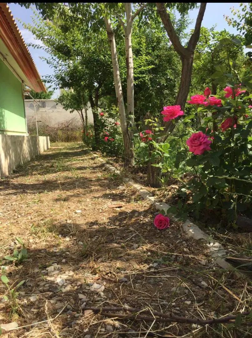 باغ سنددار گلستان چهارباغ به قیمت زمین