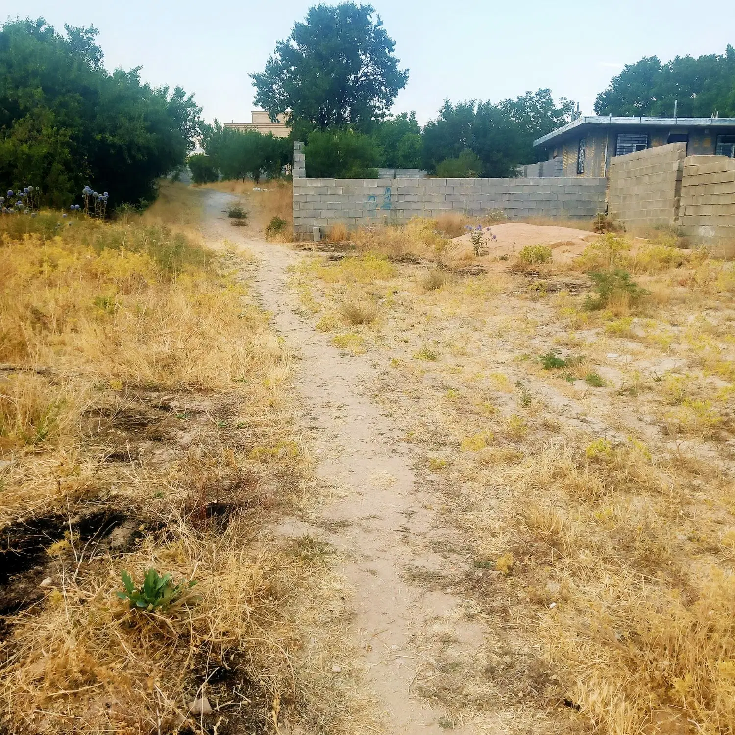 زمین مسکونی سپیدان_هماشهر همایجان_چهارمور