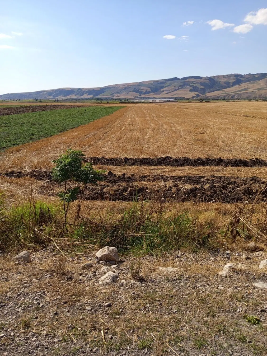 زمین‌کشاورزی