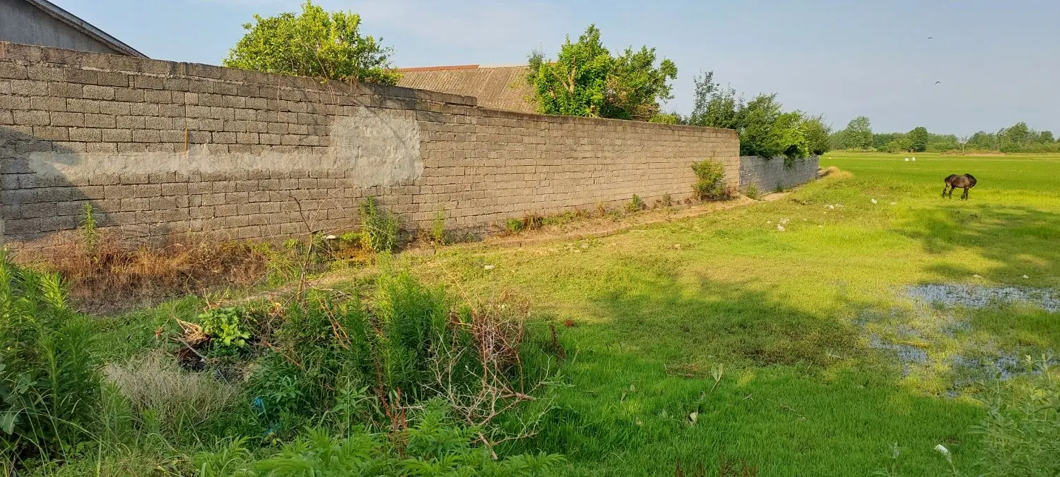 زمین مسکونی روستایی برق آب گاز پای زمین
