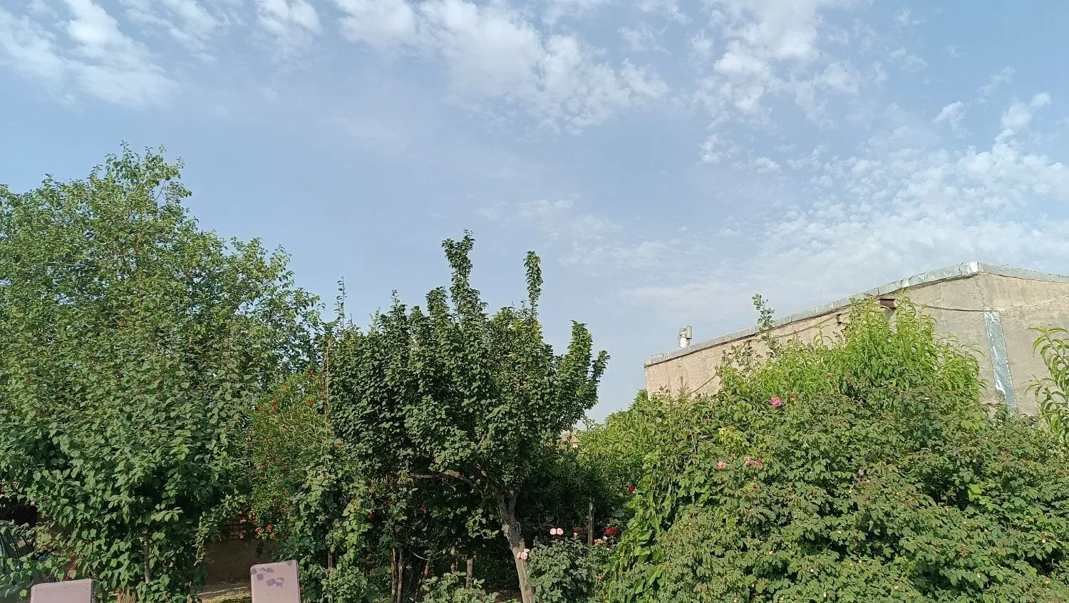 فروش باغ‌خانه ۱۰۰۰ متری در روستا
