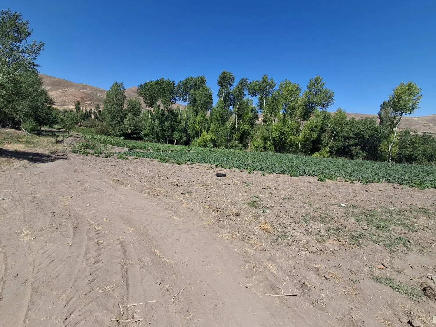 فروش قطعی زمین زراعی در خلخال