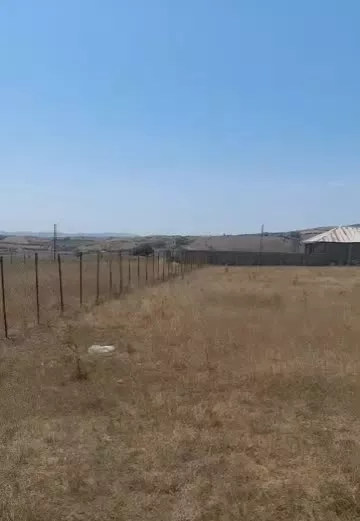 زمین باغی در دیلمان