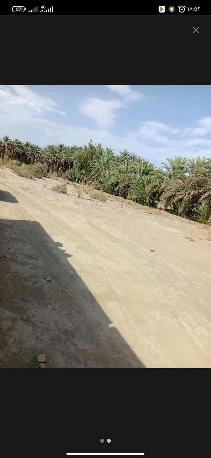 زمین فروشی ومعامله