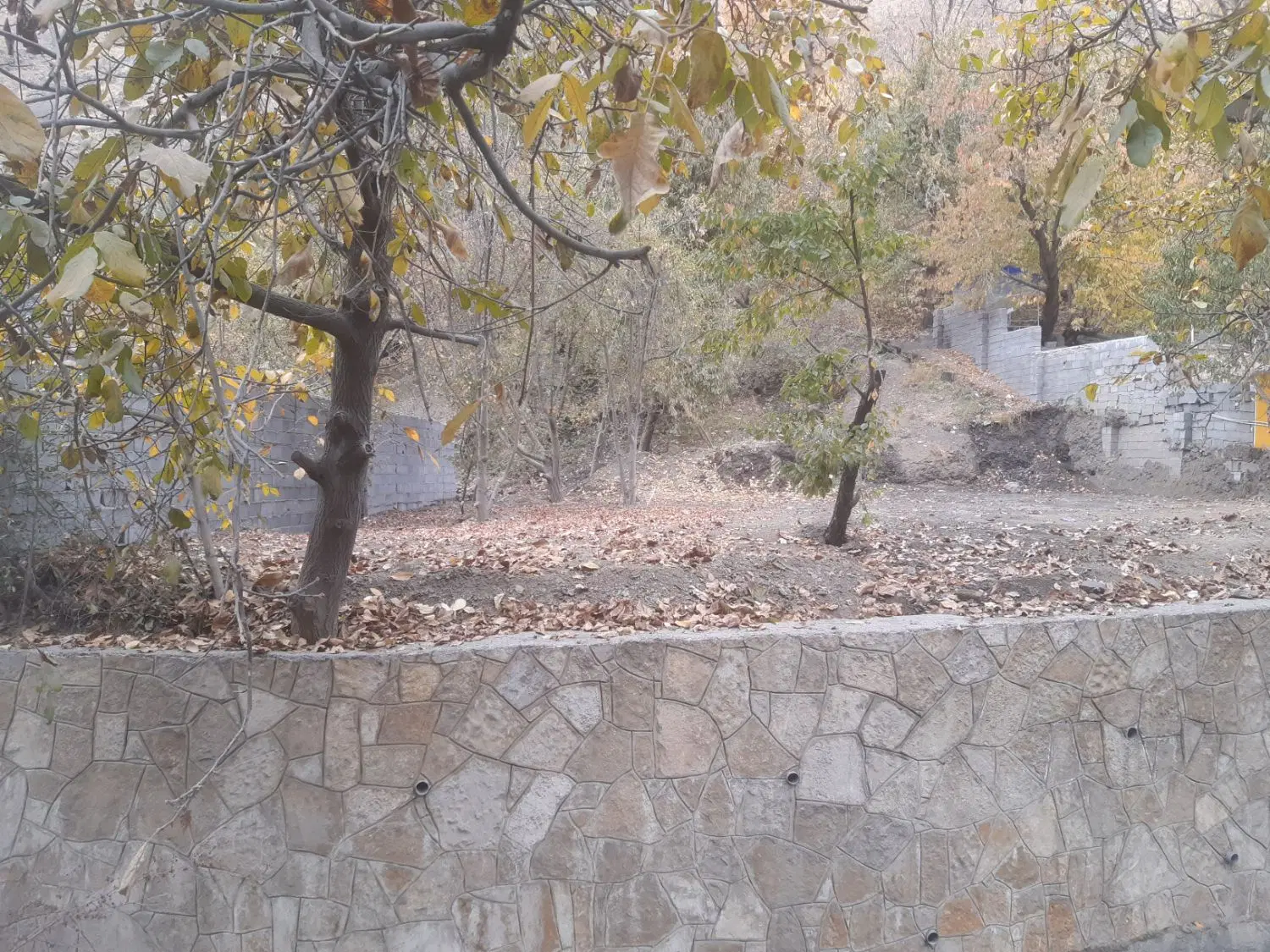 باغ فروشی حاشیه جاده شاندیز زشک
