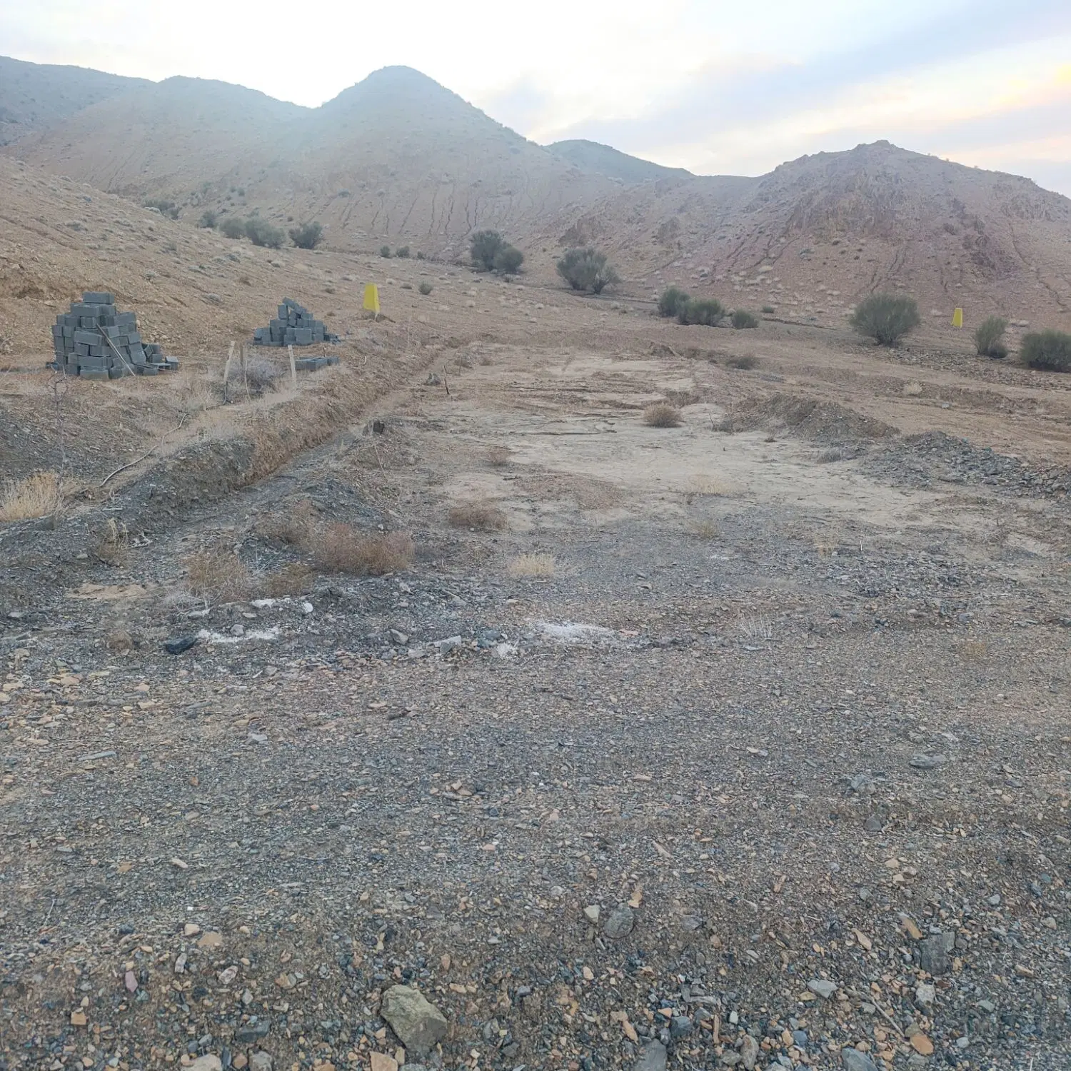 زمین کشاورزی