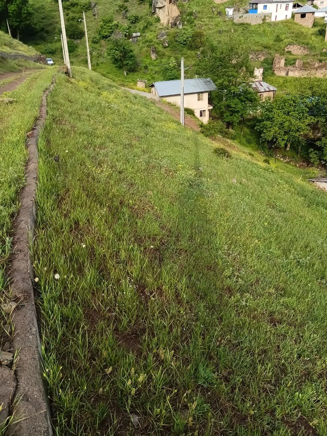 زمین در روستای هریجان