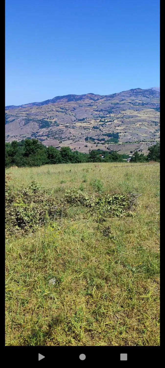 زمین مسکونی