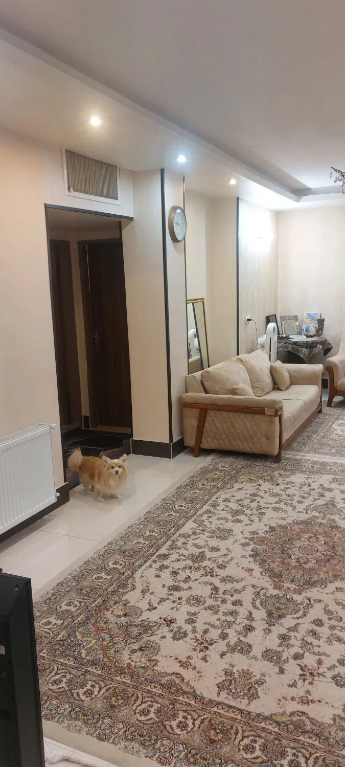 آپارتمان  دو خوابه جنوبی  و شرقی