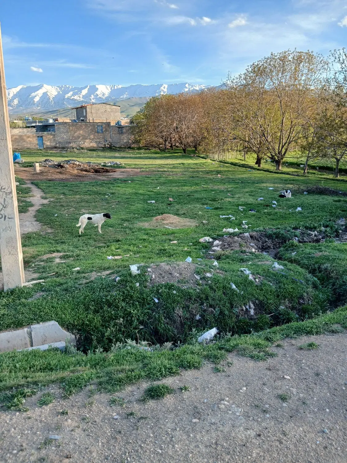 ۶۵۰متر زمین مسکونی