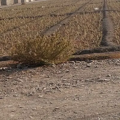 فروش زمین با بحر ۲۰ متر
