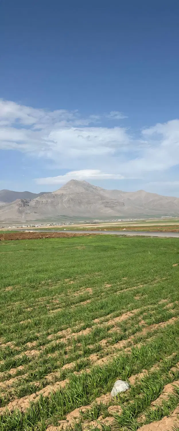 زمین بر جاده