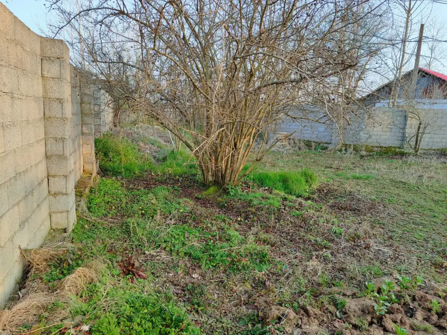 فروش زمین