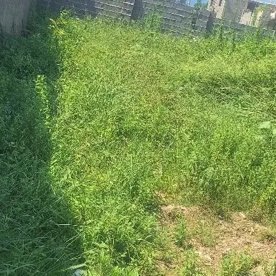زمین۴۰۲متر حومه فومن پروانه ساخت ۲طبقه ونامه بنیاد