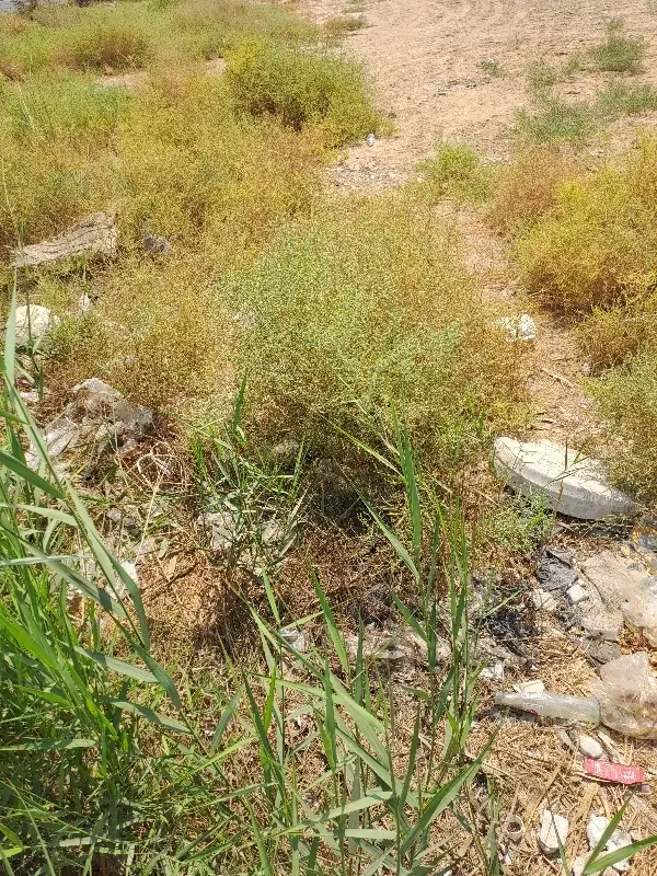 زمین پشت بند دره محله امید