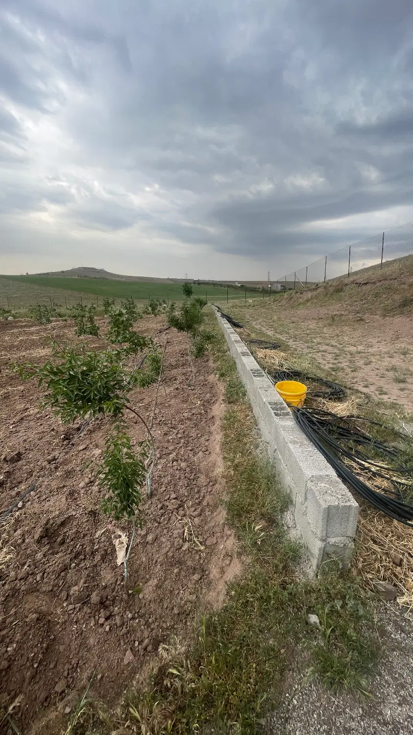 زمین باغ پسته و بادام