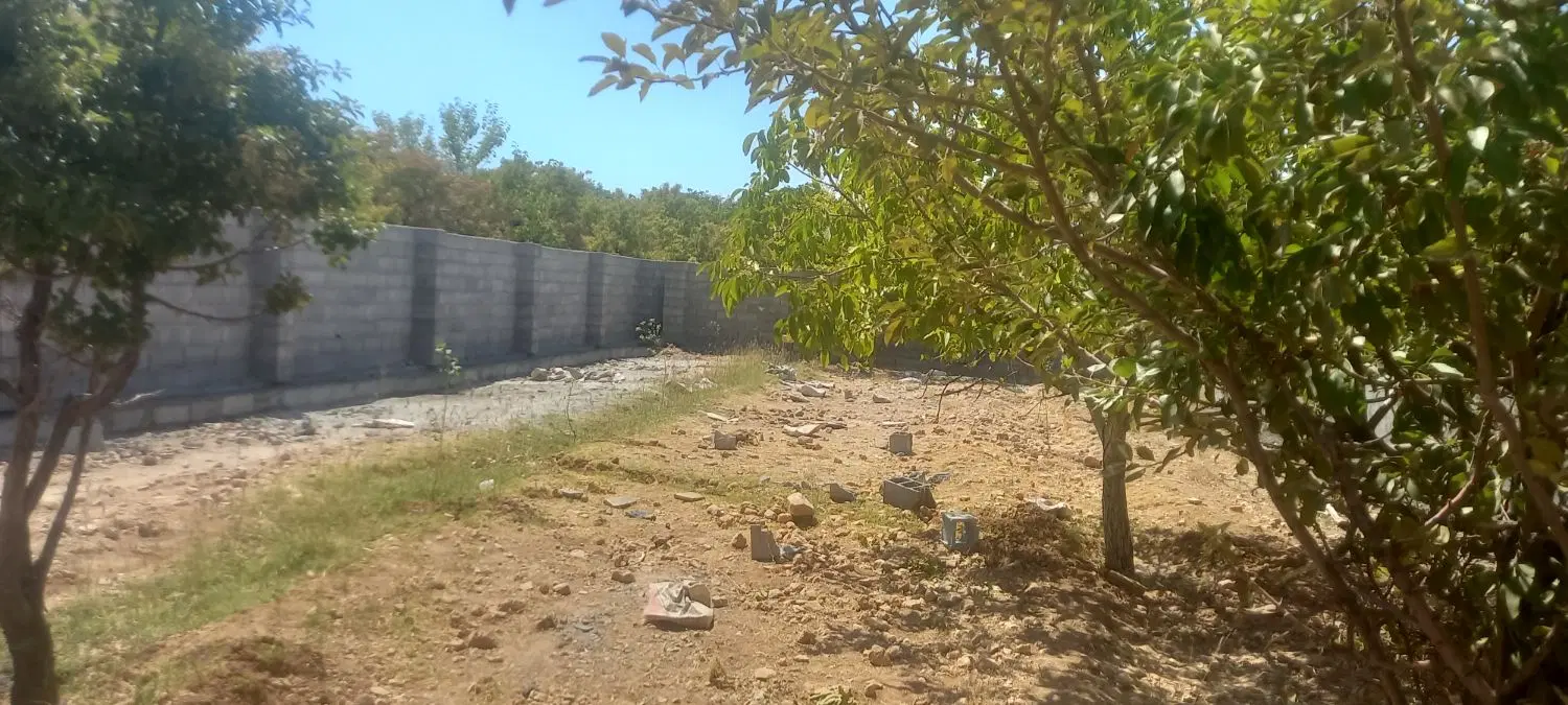زمین باغی ۵۰۰ متر زمین باسند تک برگ