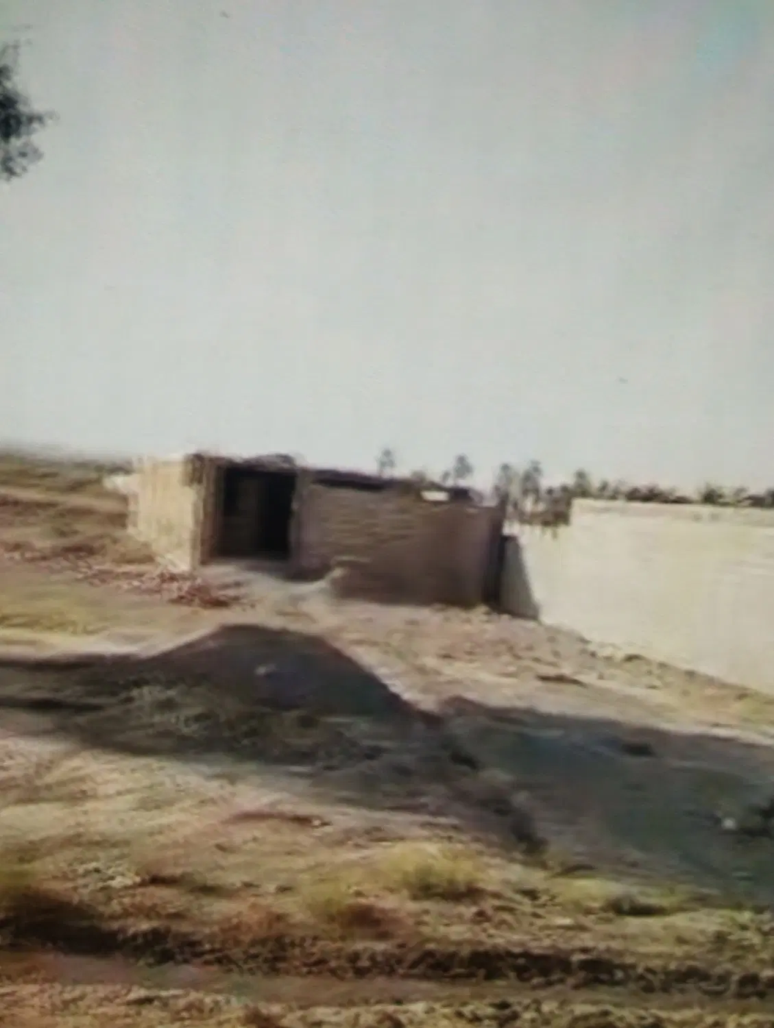 زمین فروشی سرزه