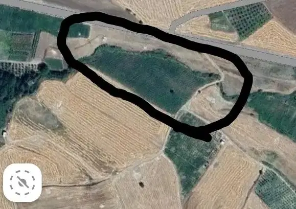 زمین کشاورزی