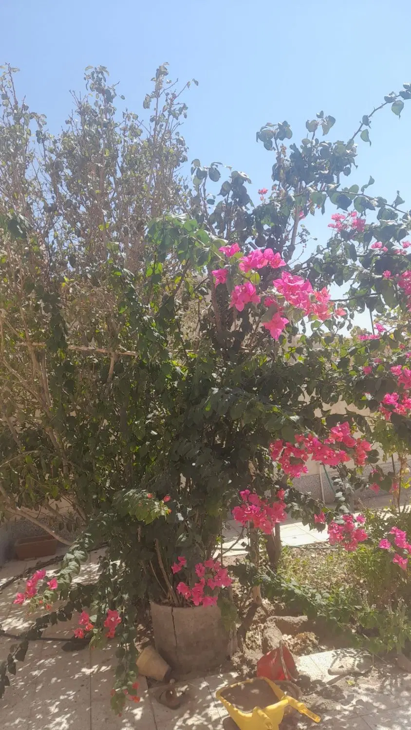 فروش خانه همت آباد اگاه