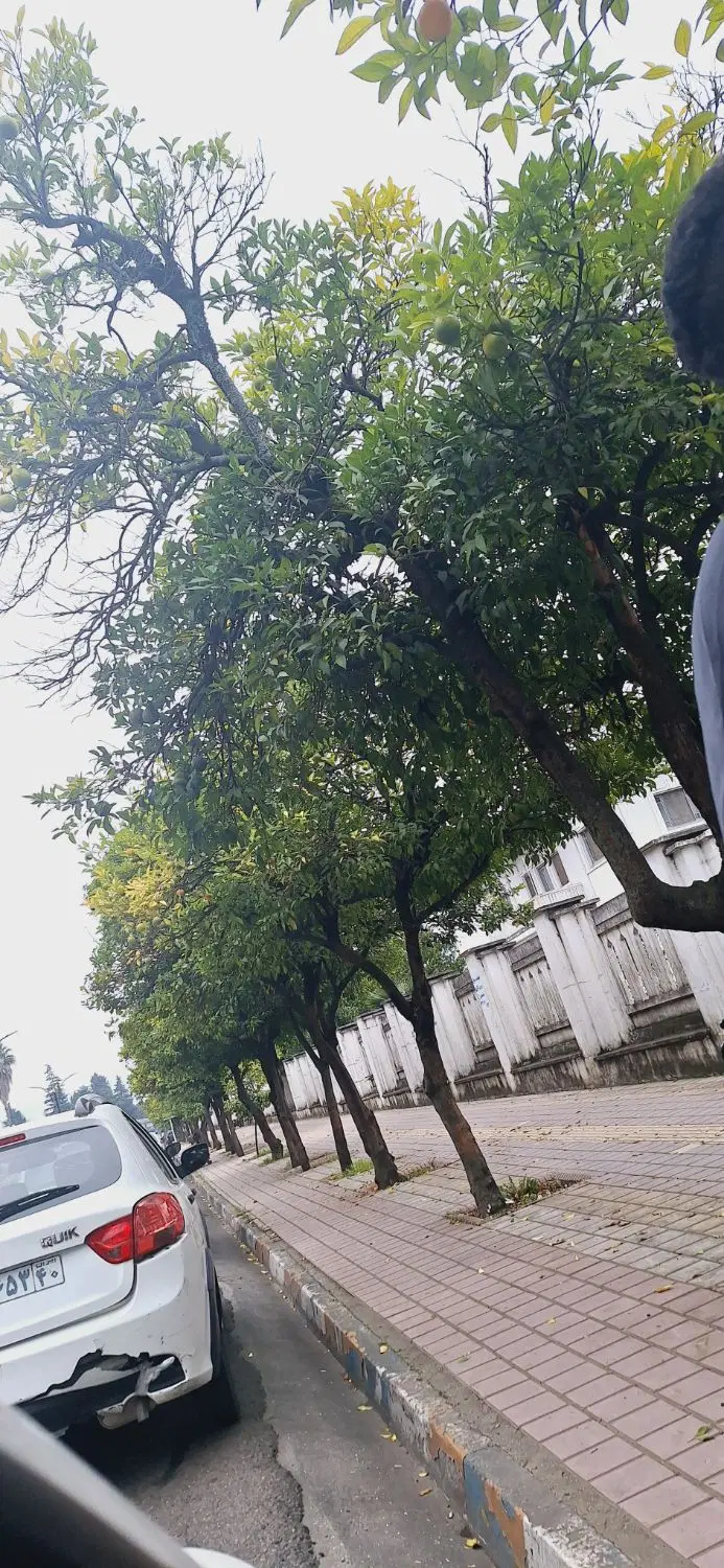 منرل وبلایی۲۱۶متری