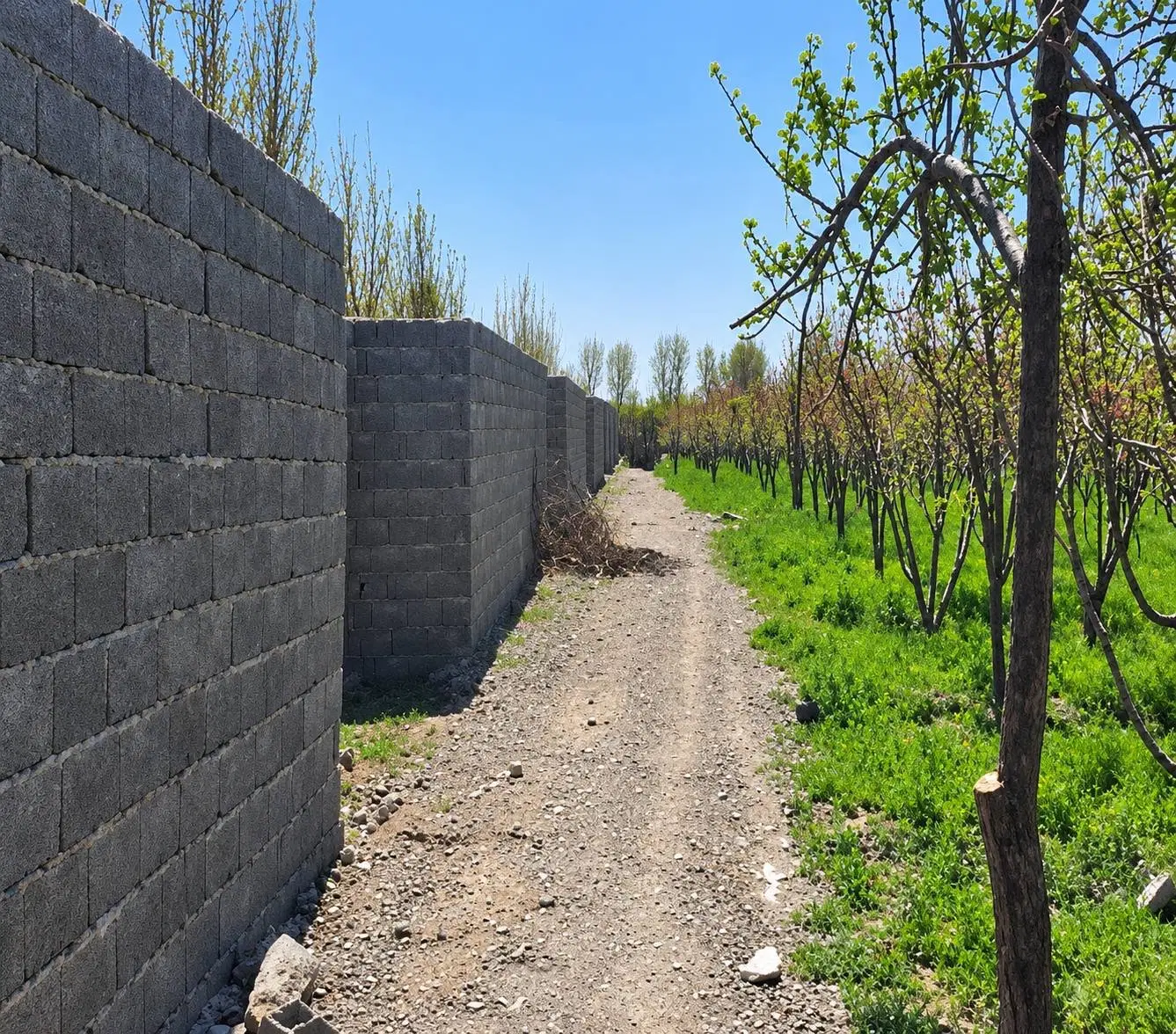 زمین اقساطی ،پرداخت راحت