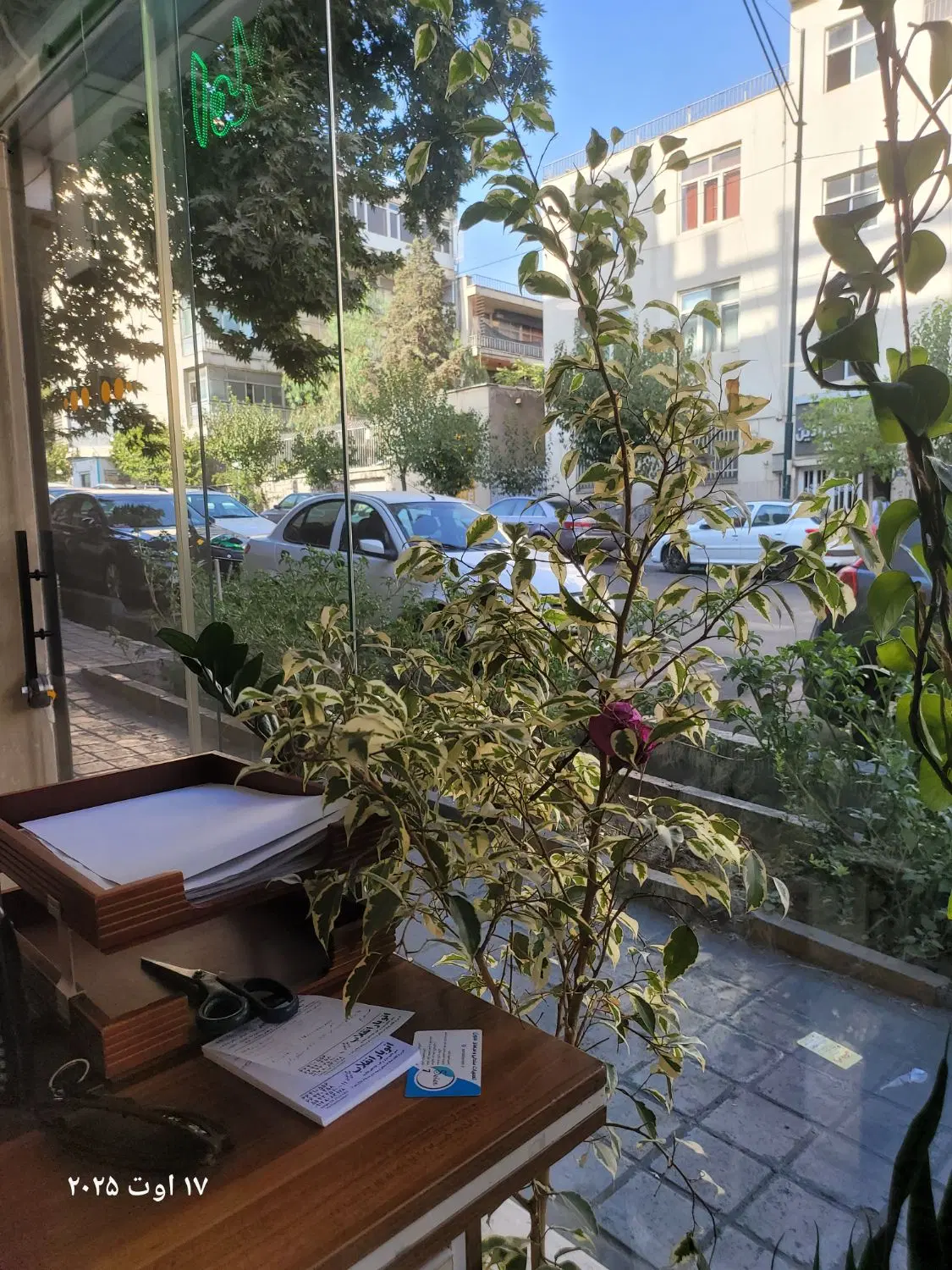 کلنگی