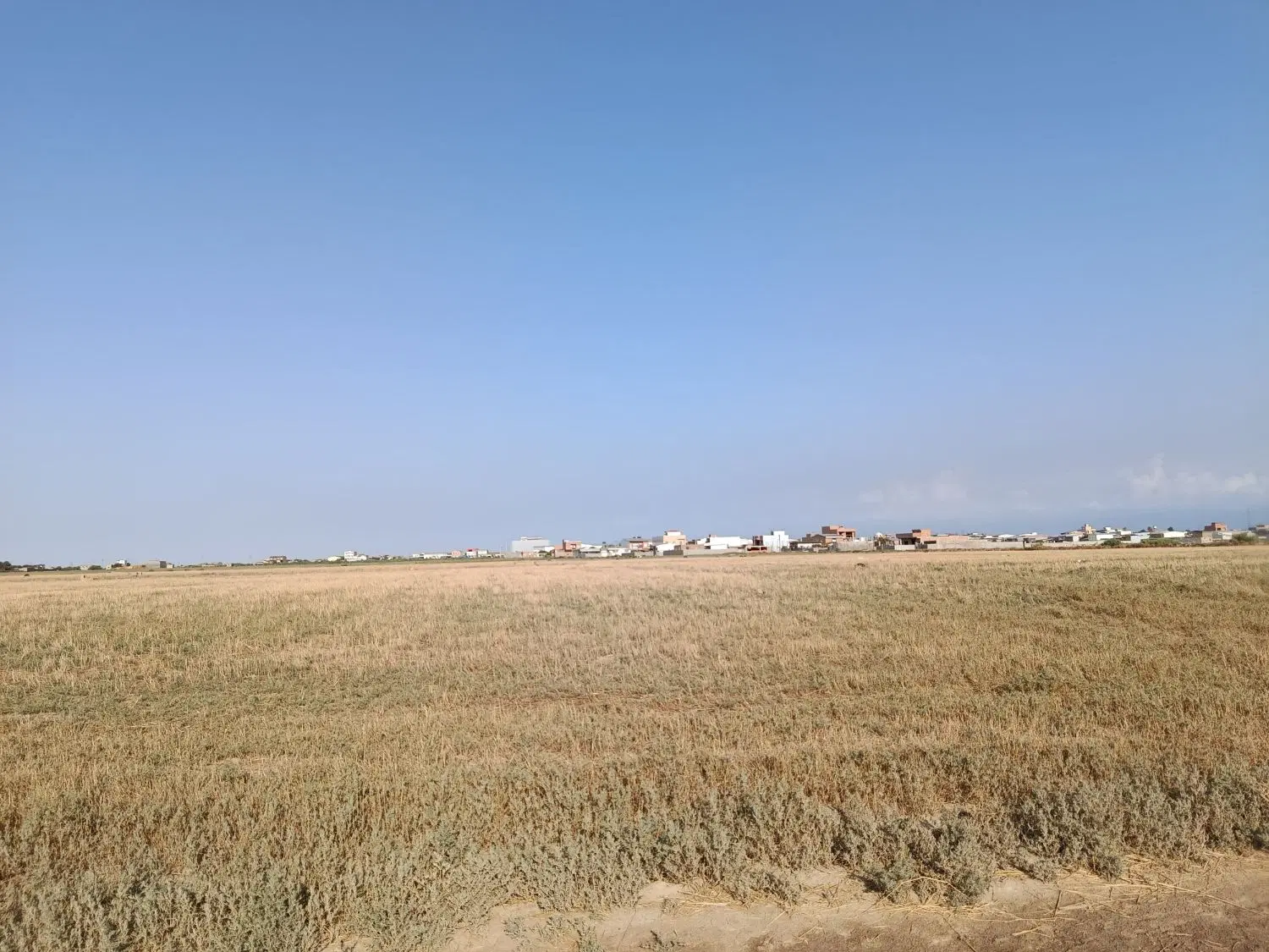 فروش زمین