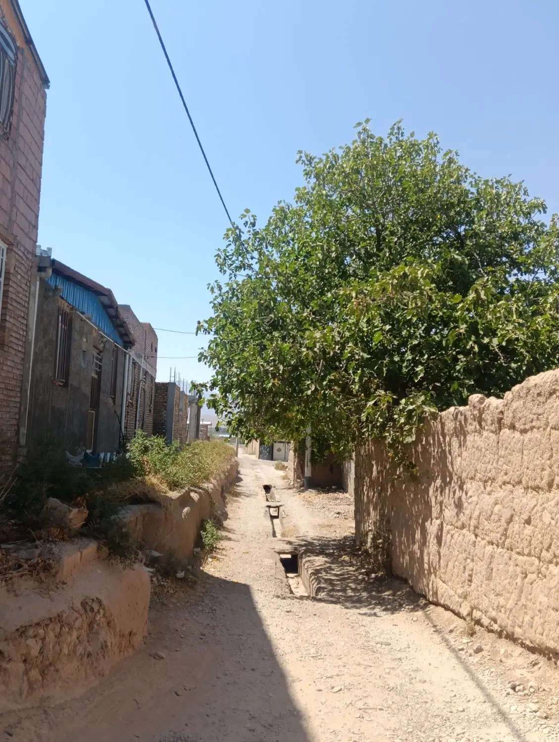 باغ ماهان