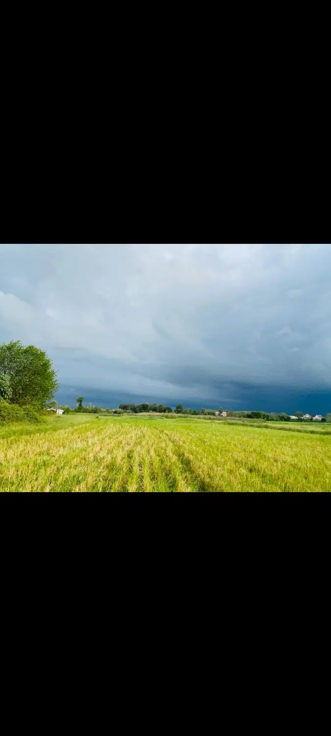 فروش زمین کشاورزی اتوبان برازجان بوشهر