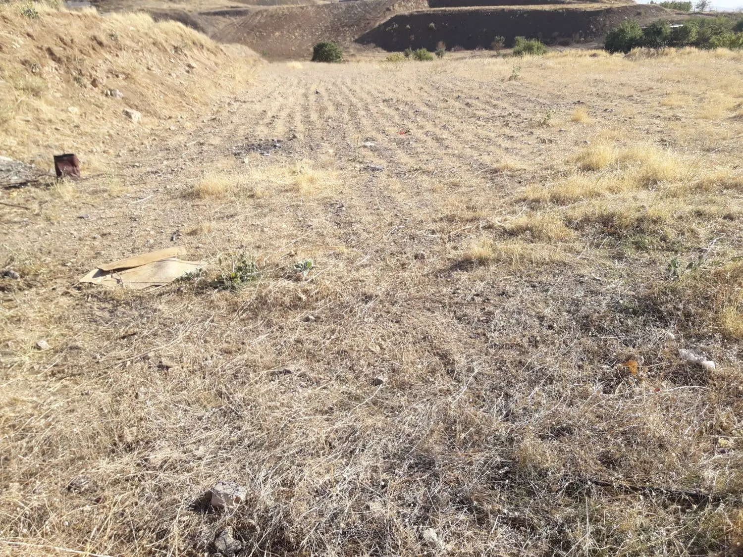 زمین کشاورزی