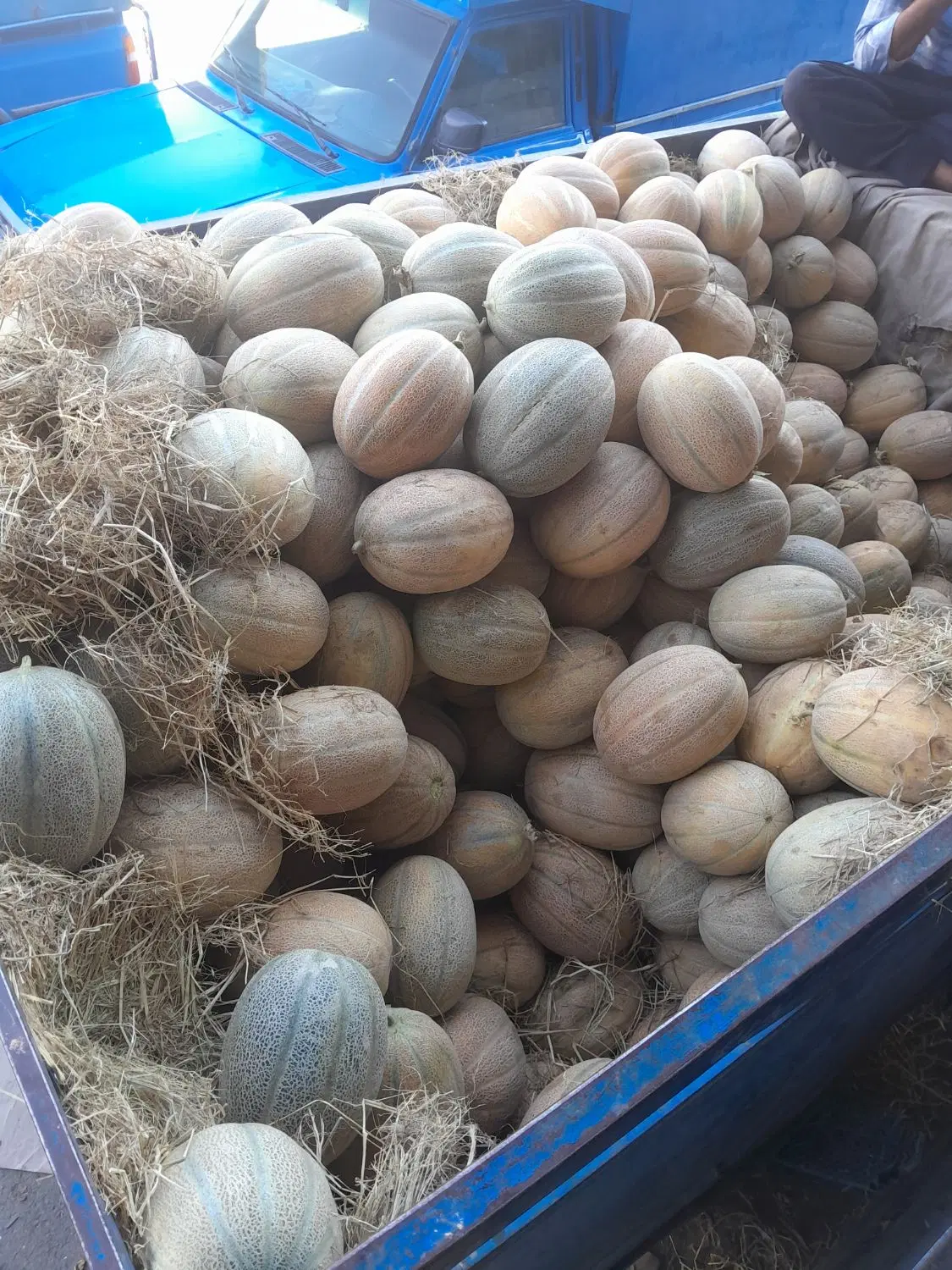 فروش زمین کشاورزی