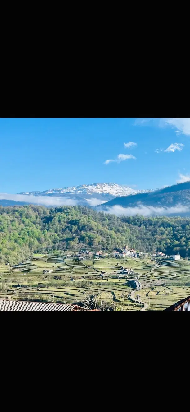 کلبه سوئسی لفور