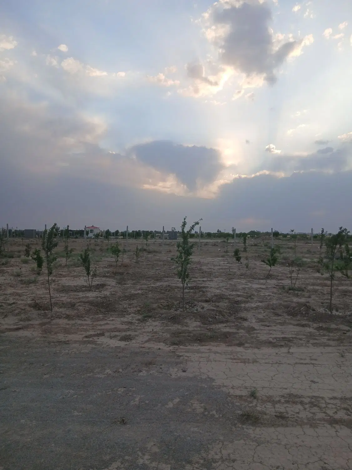 باغچه شهرکی