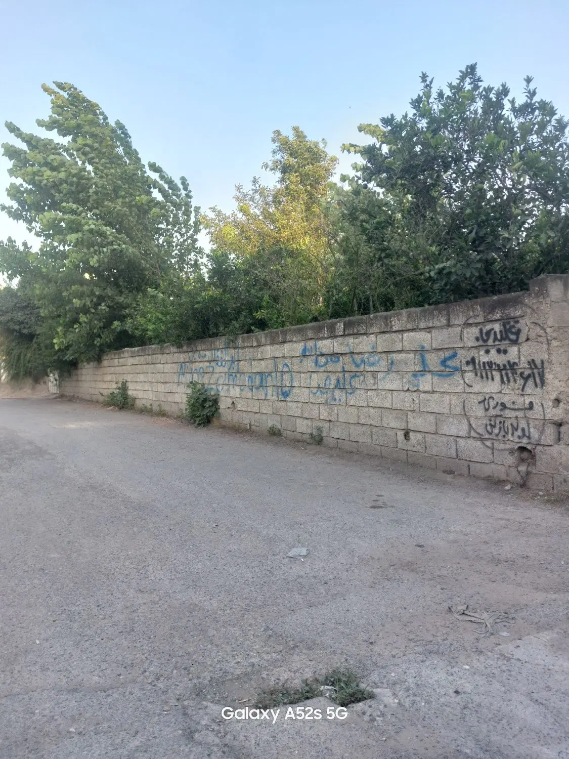 باغچه زیبا و مسکونی