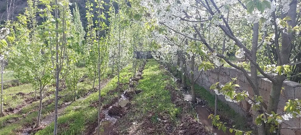 باغدر روستای ییلاقی الستان