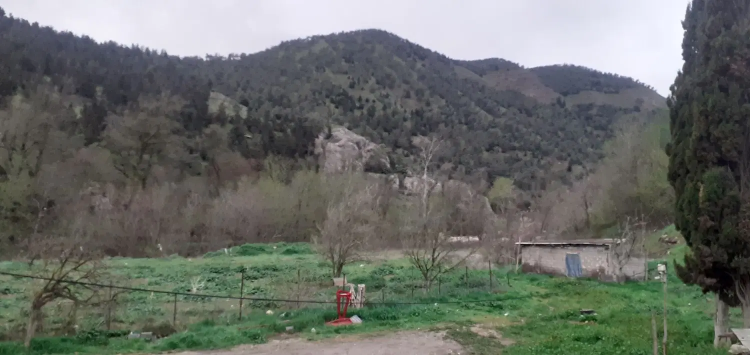 زمین فروشی