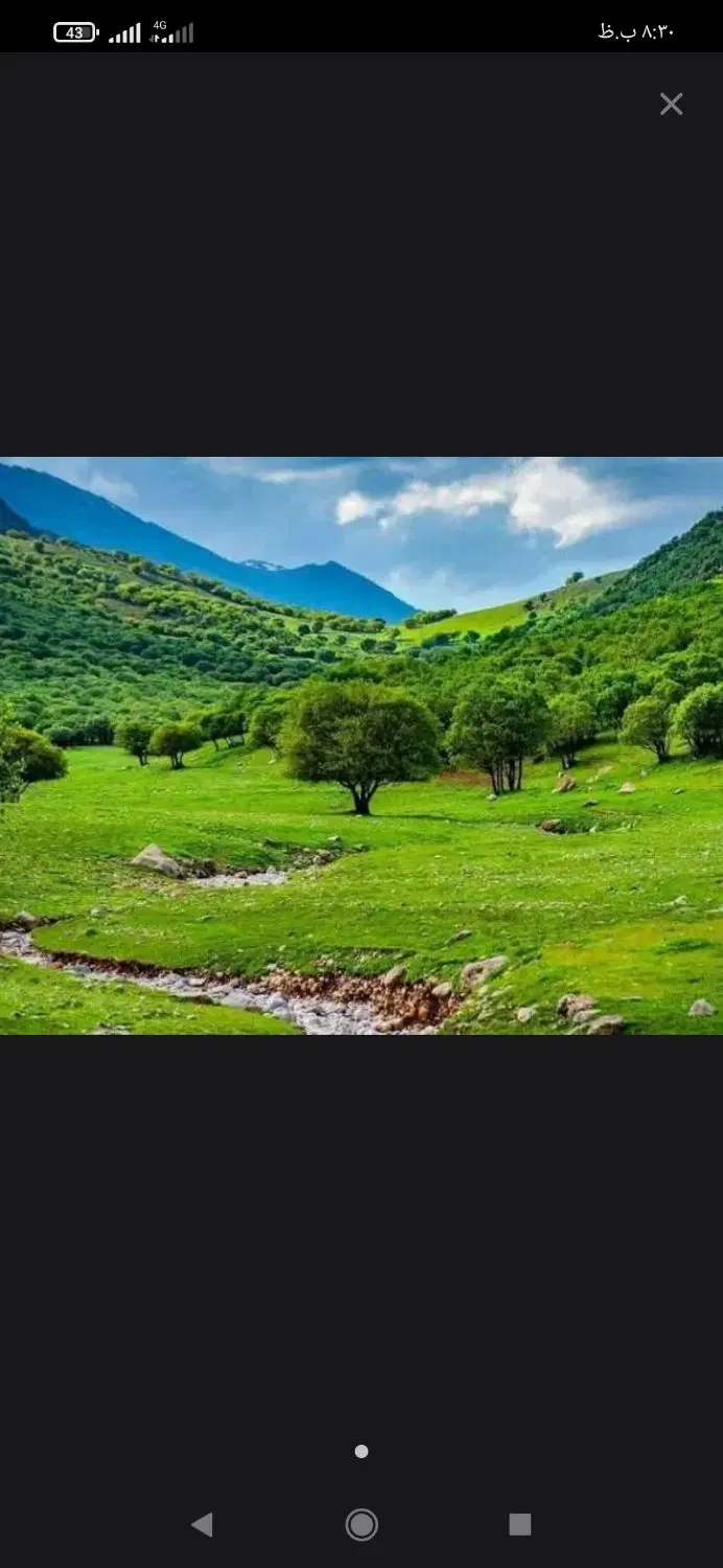 زمین