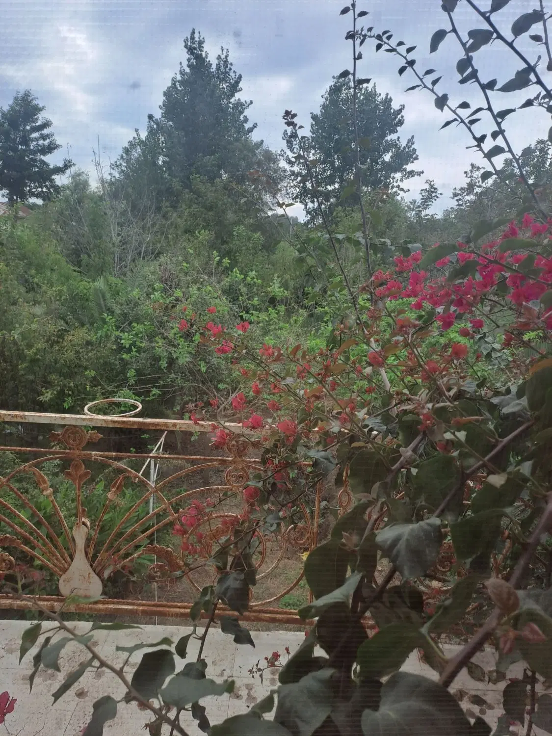 باغ ویلا روستایی خانه روستایی