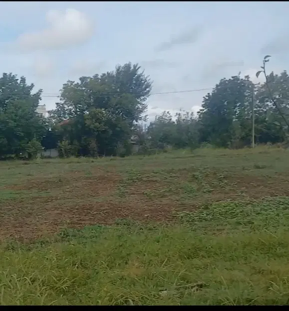 فروش زمین مسکونی ۲۵۵ متر در رضوانشهر