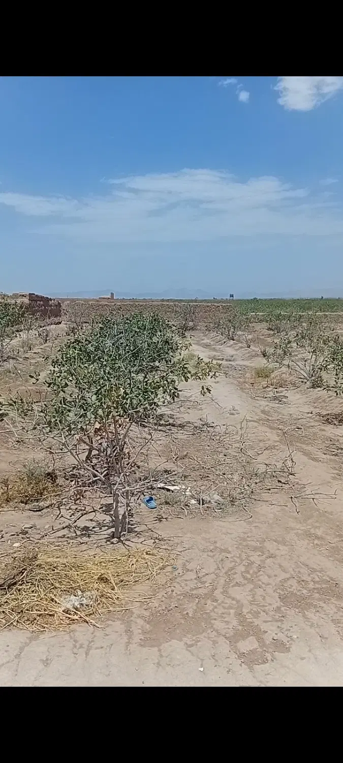 زمین فروشی