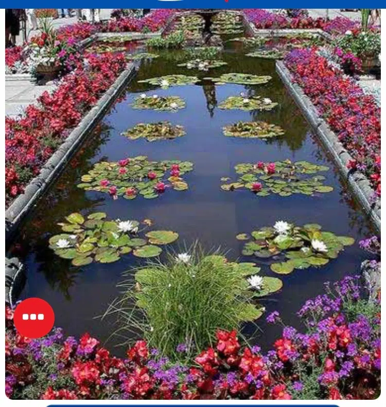 باغچه