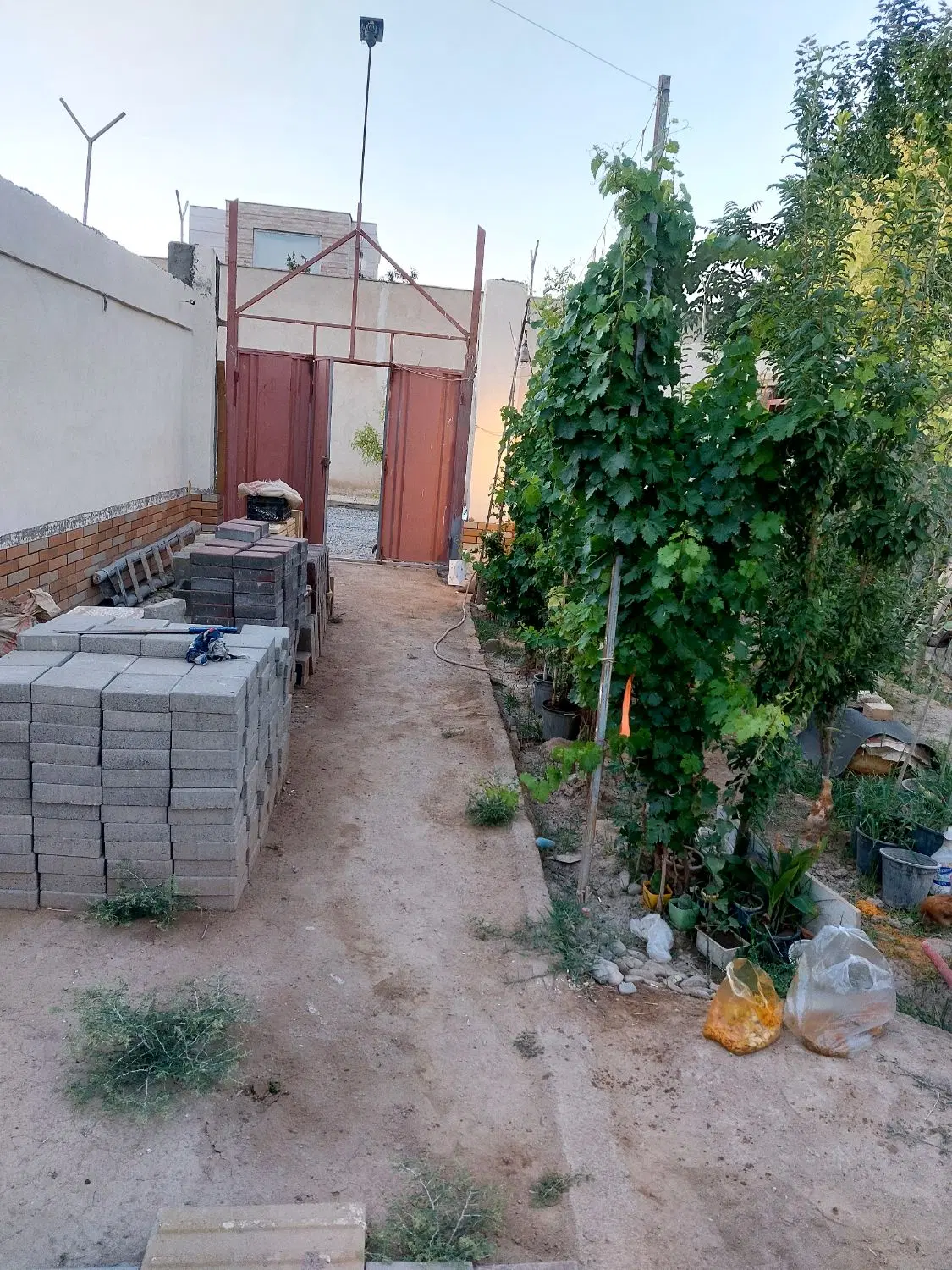 باغچه نقلی ۱۵۰ متری