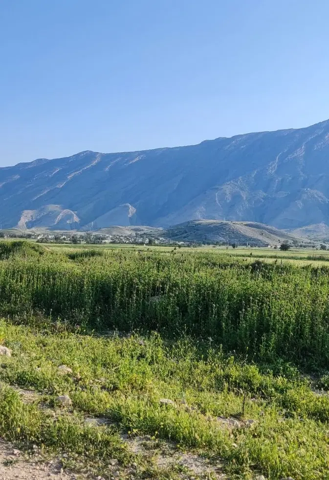 فروش زمین روستای گلستان(کاسکان)
