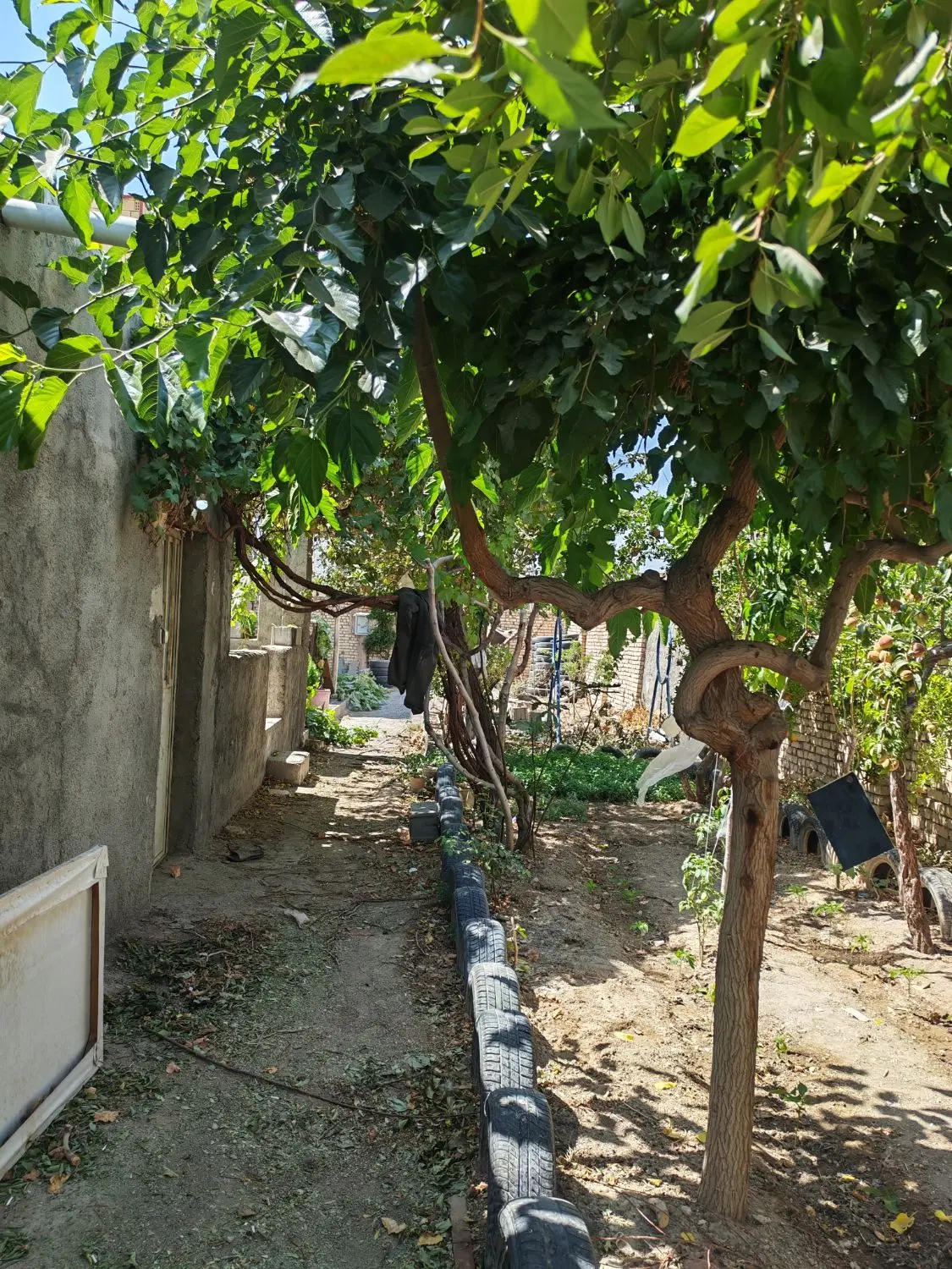 فروش ملک در خیابان مولوی در ورنامخواست